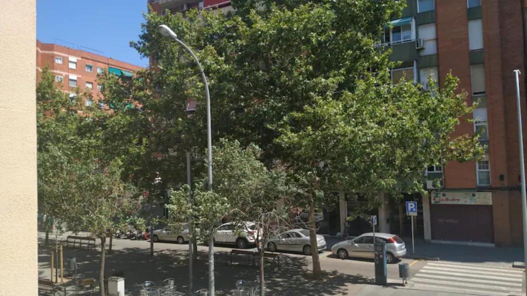 Mi colibrí- Aeropuerto Barcelona El Prat de Llobregat Exterior foto